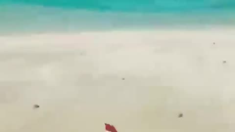 Digging Holes #maskedanon #seaofthieves #memelord