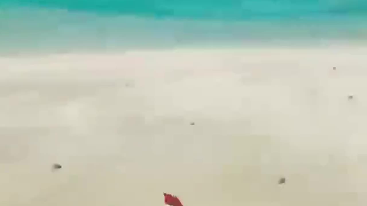 Digging Holes #maskedanon #seaofthieves #memelord