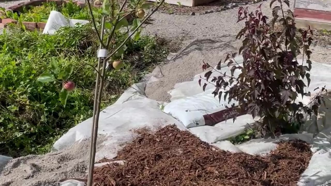 Last Area For This Summer In The Garden