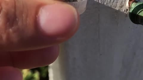 Helping a little fren .