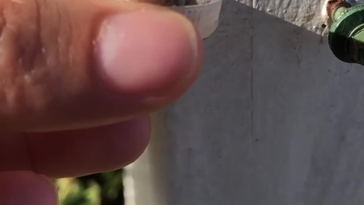 Helping a little fren .