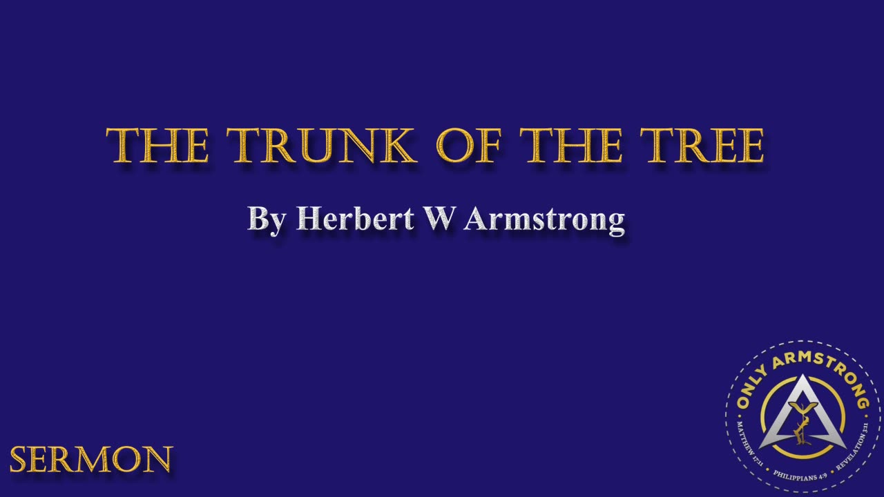The Trunk of the Tree