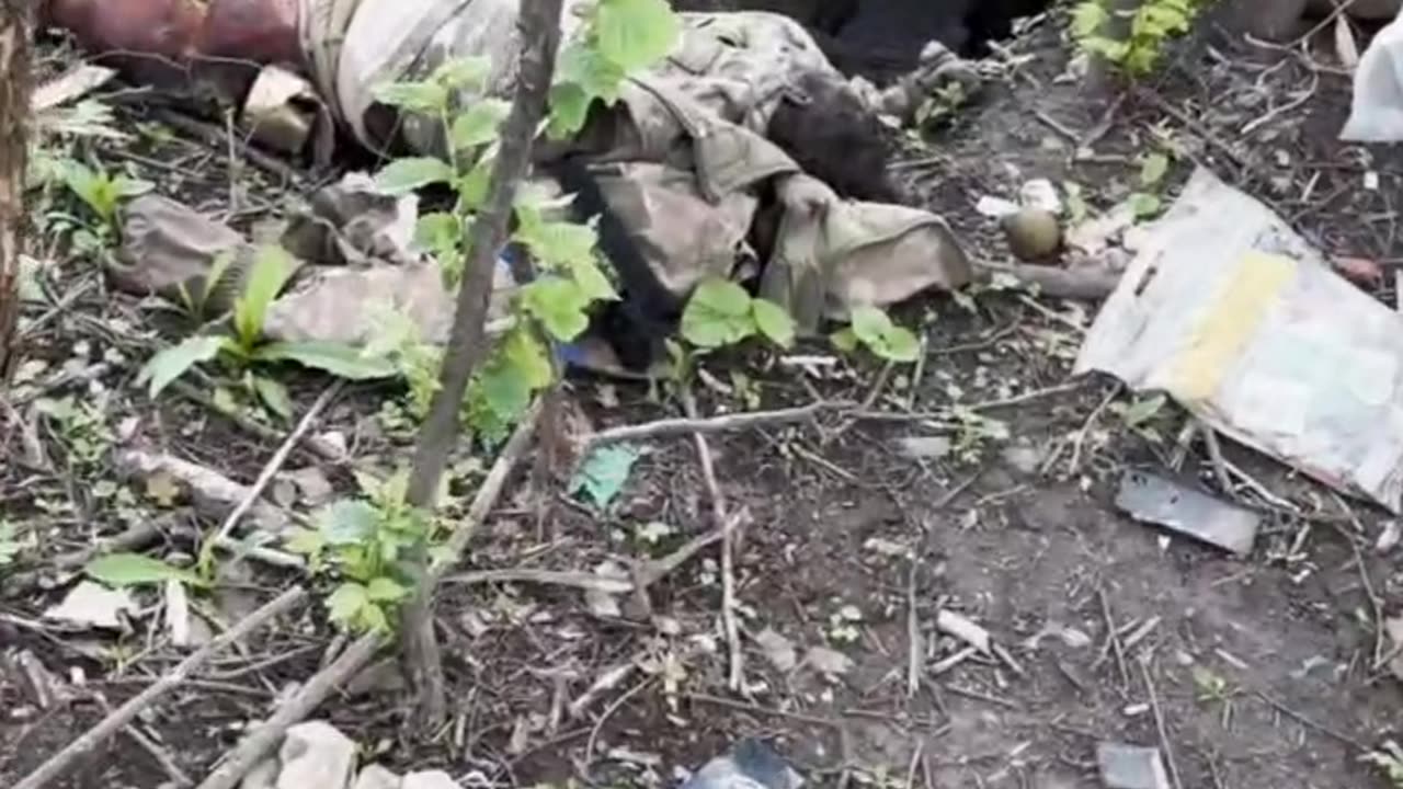 I wonder why Ukraine doesn't want 6000 bodies of AFU back