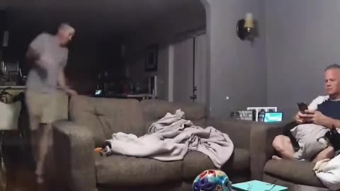 Dog's disaster moments