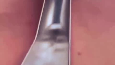 Funny clip 🤣😁