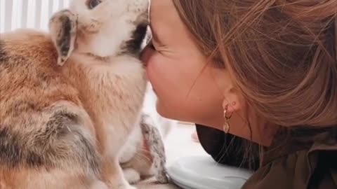 Pet helps to maintain mental health~ Pet Lovers | Cute Animal Videos |