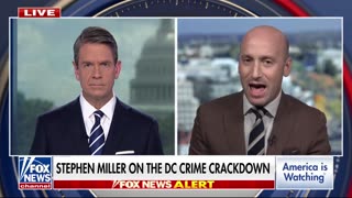 Stephen Miller UNLOADS on Dems over crime crisis: 'Only care about criminals and illegal aliens'