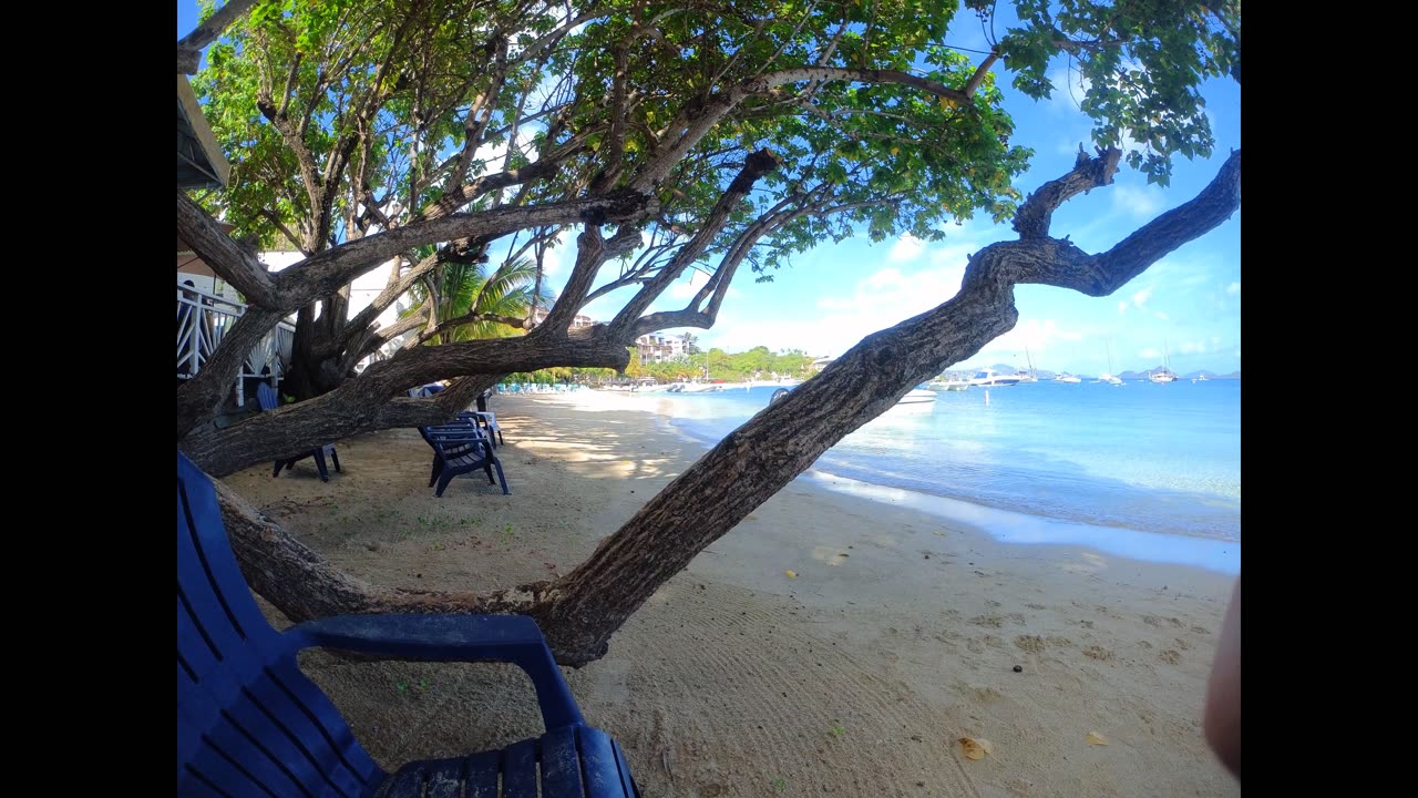 Short: Cruz Bay St. John, USVI
