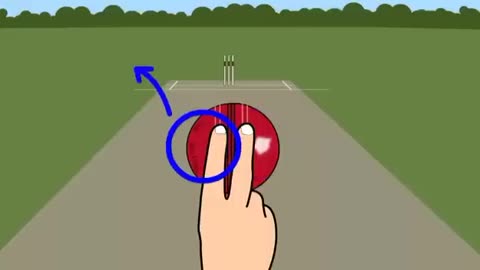 Cricket