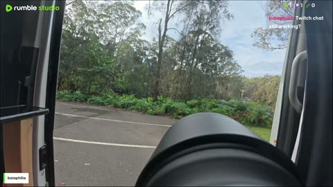 Shooting birds