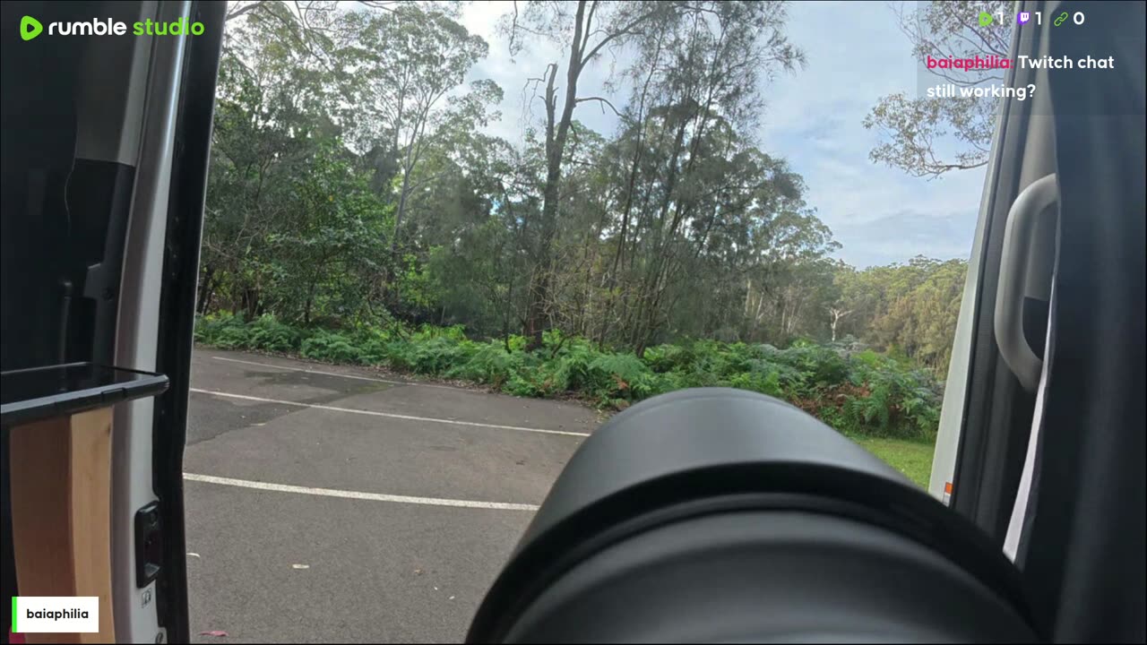 Shooting birds