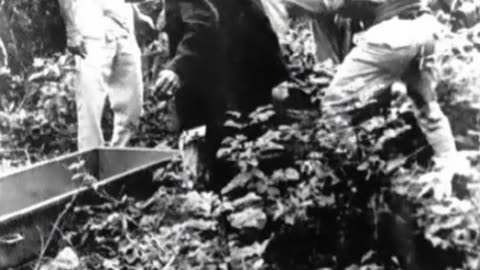 Unsolved Events from History That Still Make No Sense