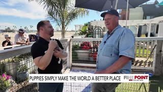 Mission Bay Puppy Rescue: Saving Lives, One Pup at a Time