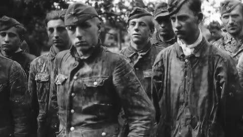 Ukrainian SS In Britain - Postwar SS-Galizien Division Refugees