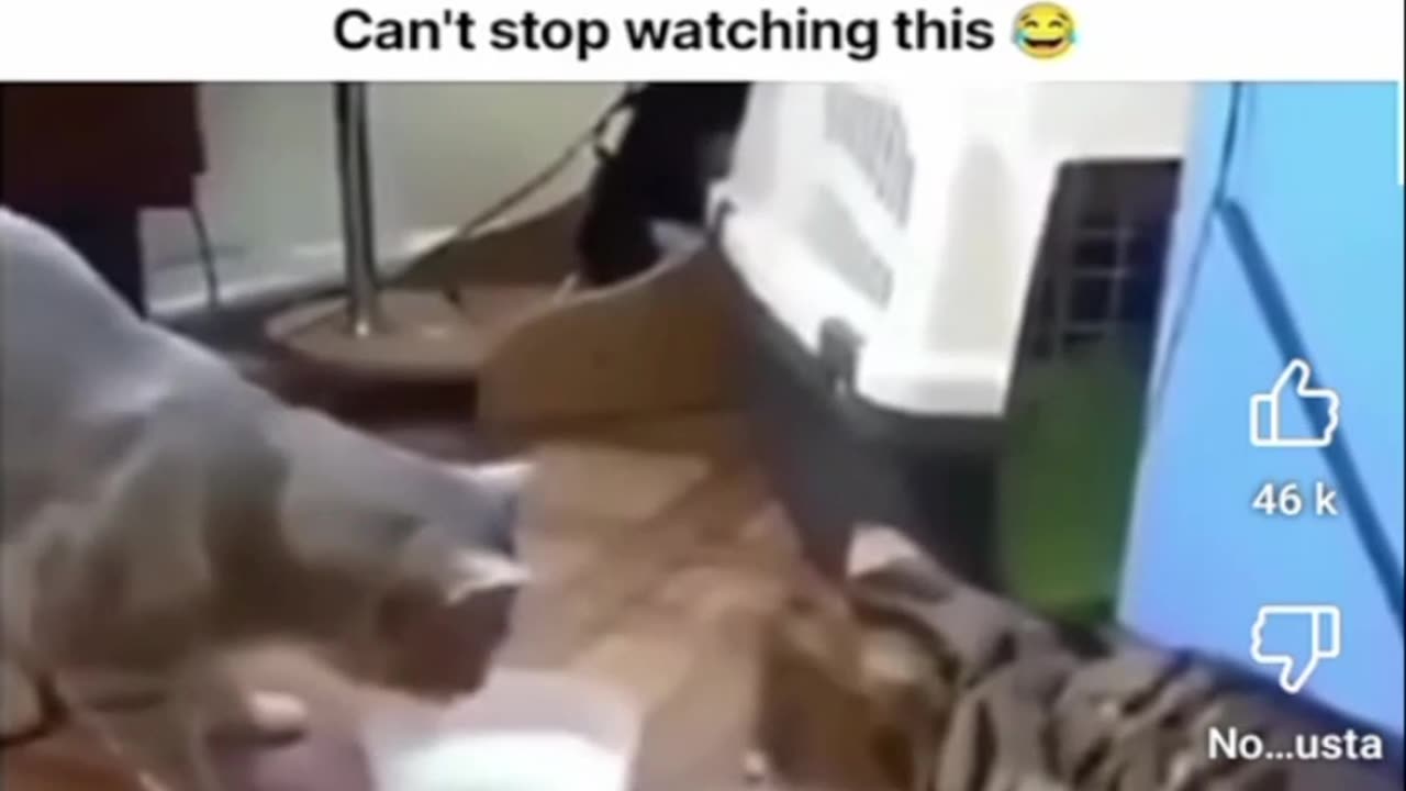 Just shorts videos 😜!!! 6