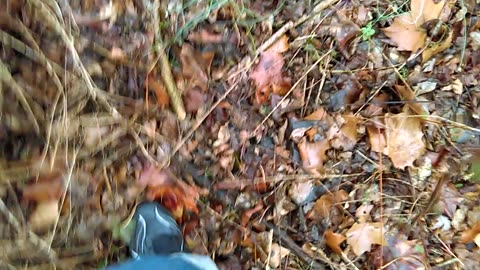 Taking a Walk in Cleats - Date: 1/20/2017