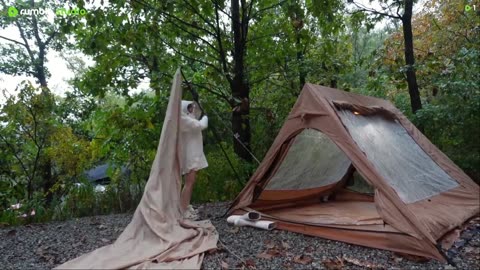☔Heavy rain Camping in the ForestㅣPouring rain ⚡️Rain & Thunderstorms ASMR