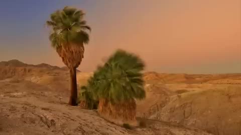 تلاوة راائعه ونديه لسورة غافر للشيخ أحمد العبيد(استمتع