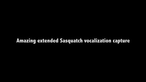 Sasquatch Activity and Vocalizations