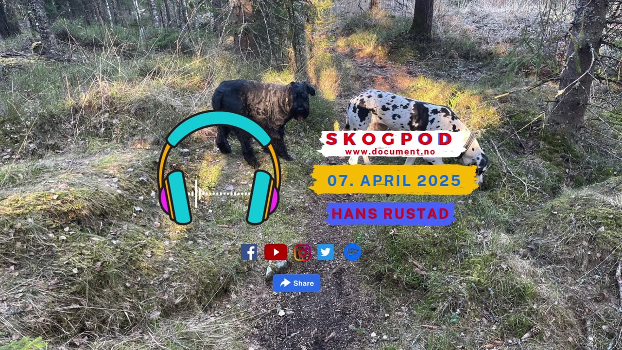 Skogpod 7. april 2025