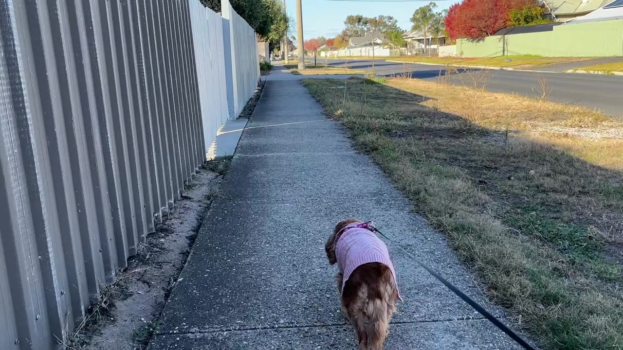 In winter, Walking in the warm sunshine...