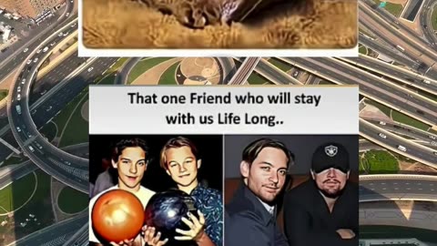 #funny #memes #fyp