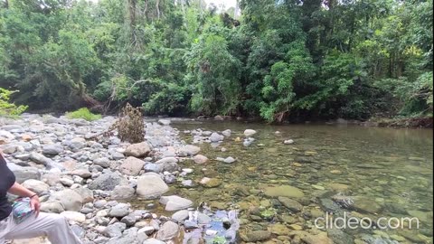 El Yunque National Forest, Puerto Rico.