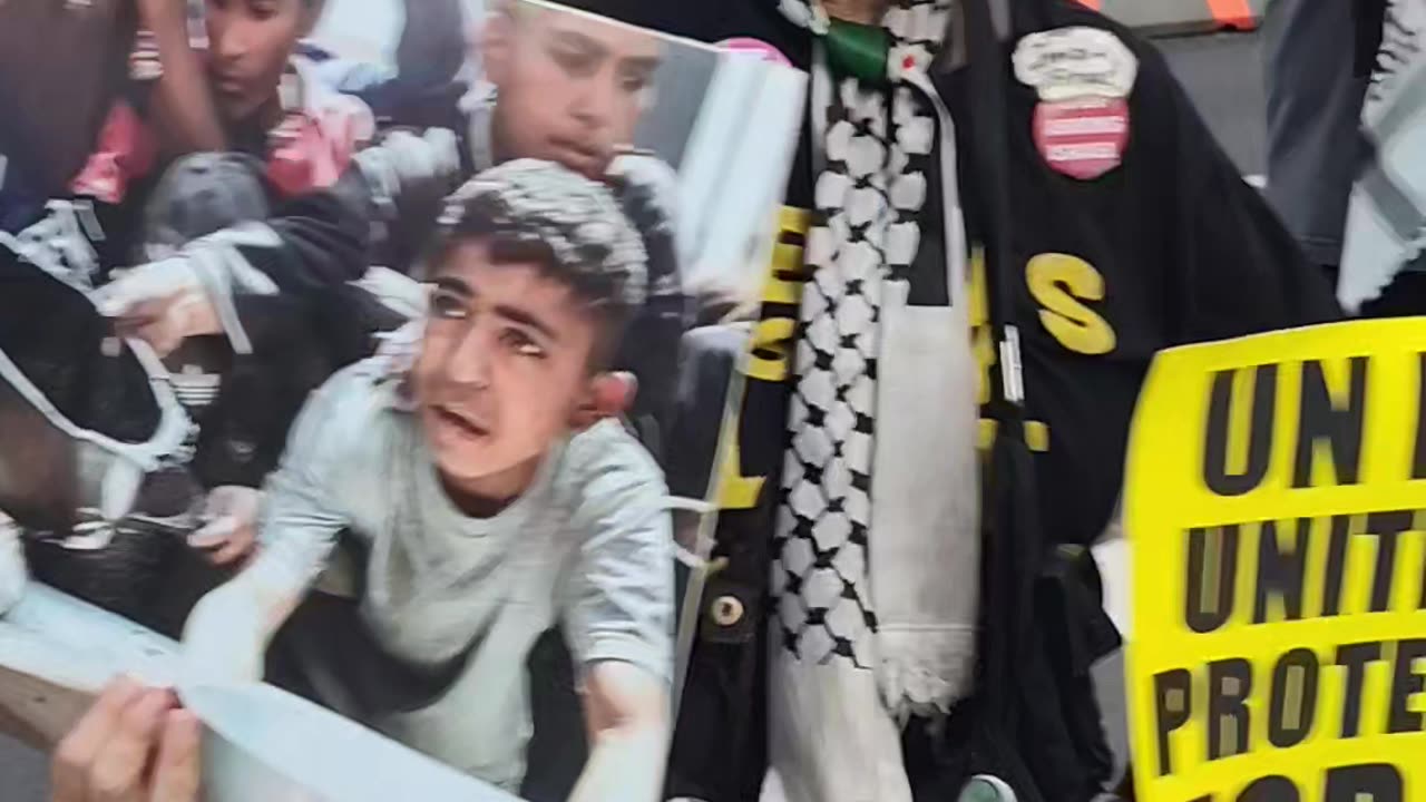 "Israel is starving Palestinians to death" says New Yorkers.