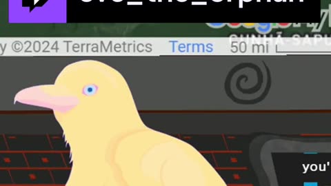 Ken Can't Decide How to Pronounce Z's | eve_the_orphan on #Twitch