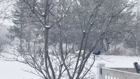 The hand of the Lord