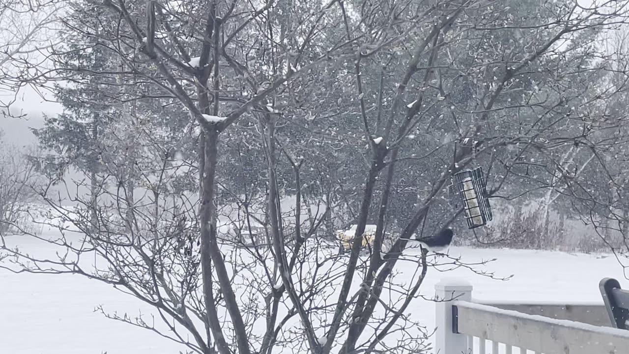 The hand of the Lord