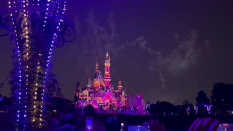Disney land show