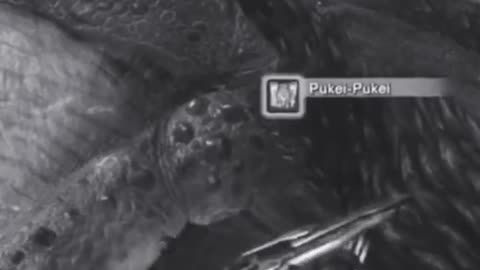 McDicken. Monster Hunter? Ep. (6)? Never saw the movie. #monsterhunterworldiceborne