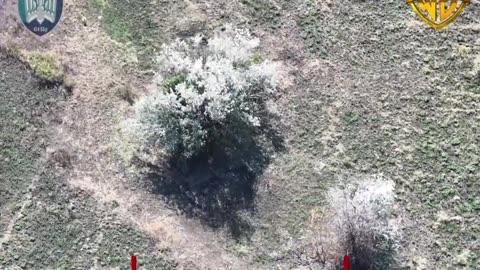 🚀💥 Ukraine Russia War | WormBusters Unit Drone Strike Eliminates Russian Infantry in Novopavl… | RCF