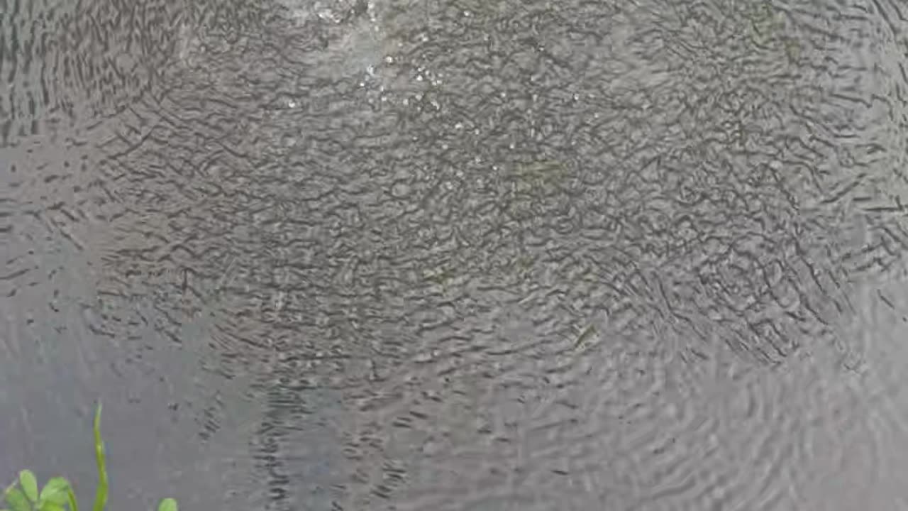 Waterproof firecracker