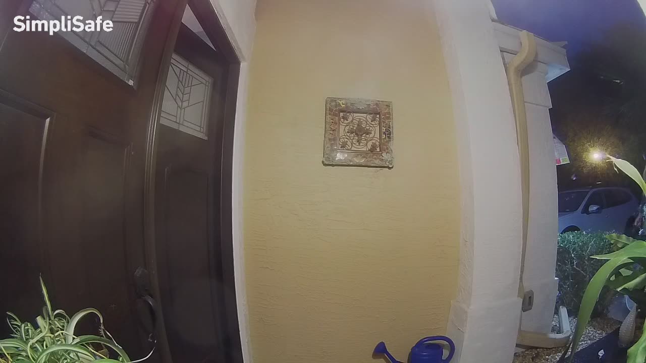 Frog Freak Out At Front Door