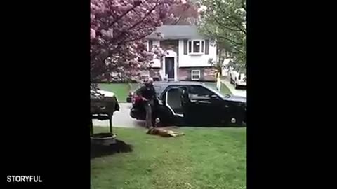 When Police Dogs Forget Their Job 😁 Funny Dog Videos 2025