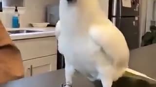 😂💥 Show them moves! | FunFM