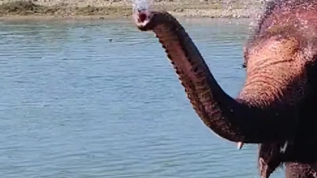 Never forget you are Light Warriors.