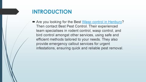 Best Wasp control in Henbury