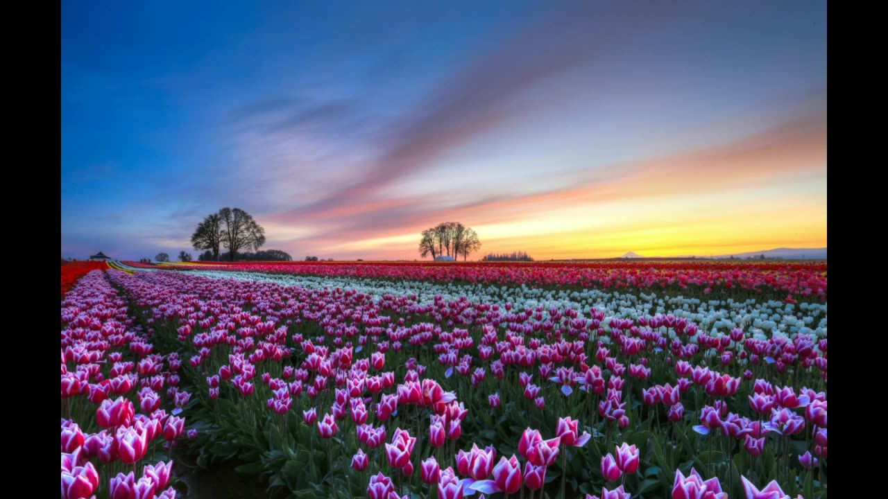 Heavenletter 6599 Published on February 19 2019 Channeled by Gloria Wendroff