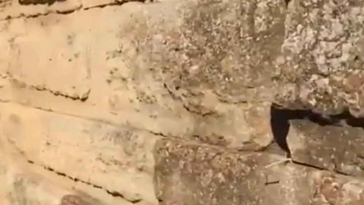 🛸🤯 Exploring the Mysterious Precision-Built Structure! | TheTruthAbove