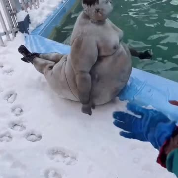 "Me waiting for my crush to text back like… ⏳"