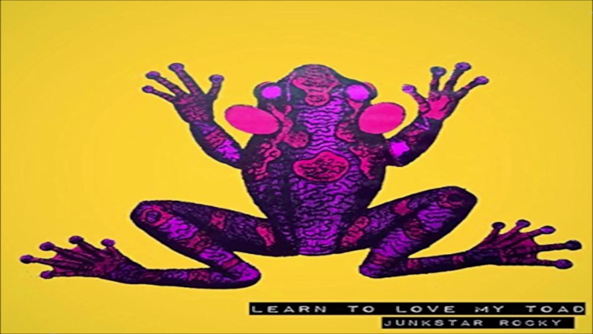 Junkstar Rocky - The Best - Learn To Love My Toad - [Indie Rock/Alternative]