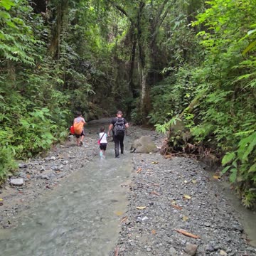 Morning Trek to the Farm with the Kids 🌄 | Expat Life & Family Adventures in the Philippines 🇵🇭