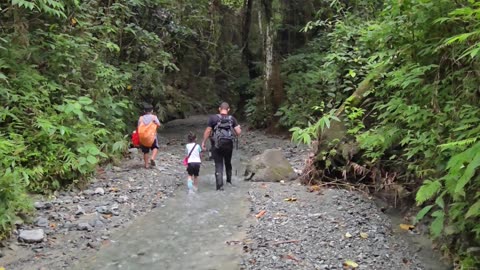 Morning Trek to the Farm with the Kids 🌄 | Expat Life & Family Adventures in the Philippines 🇵🇭