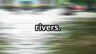 Flash Flood Warning | Stay Safe with These Emergency Tips 2025