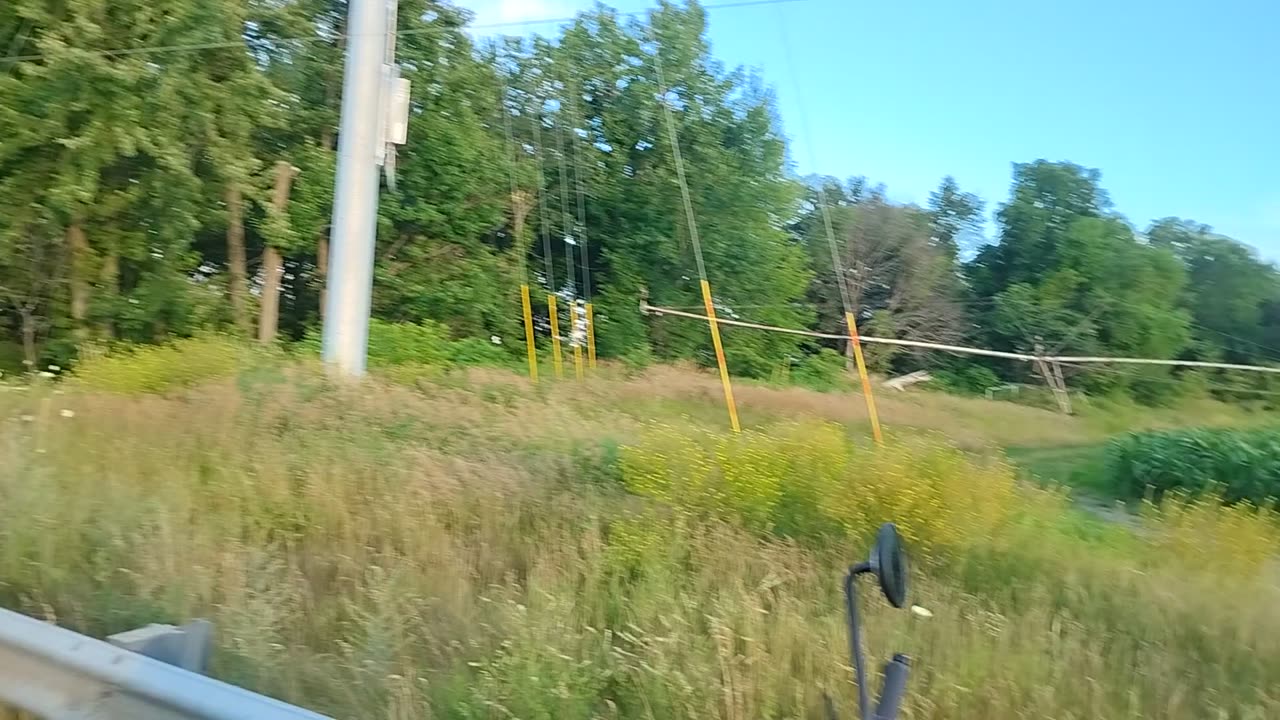 Exploring the back roads on the way to to beach