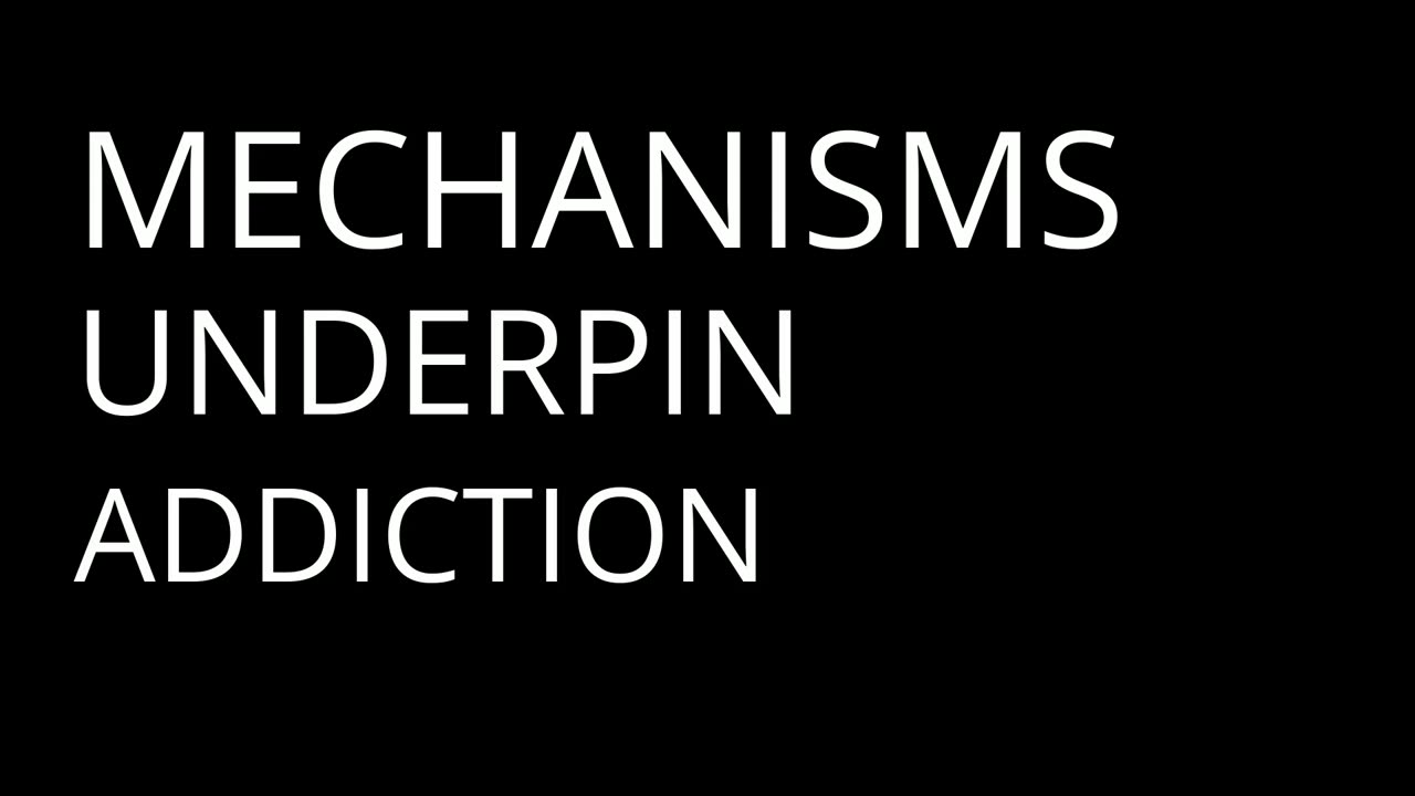 Cocaine's Dark Embrace: The Truth They Hide | Dostoevsky - Part 6