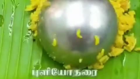 Sathyabama Catering - Pure Vegetarian Delicacies with Perfect Richness